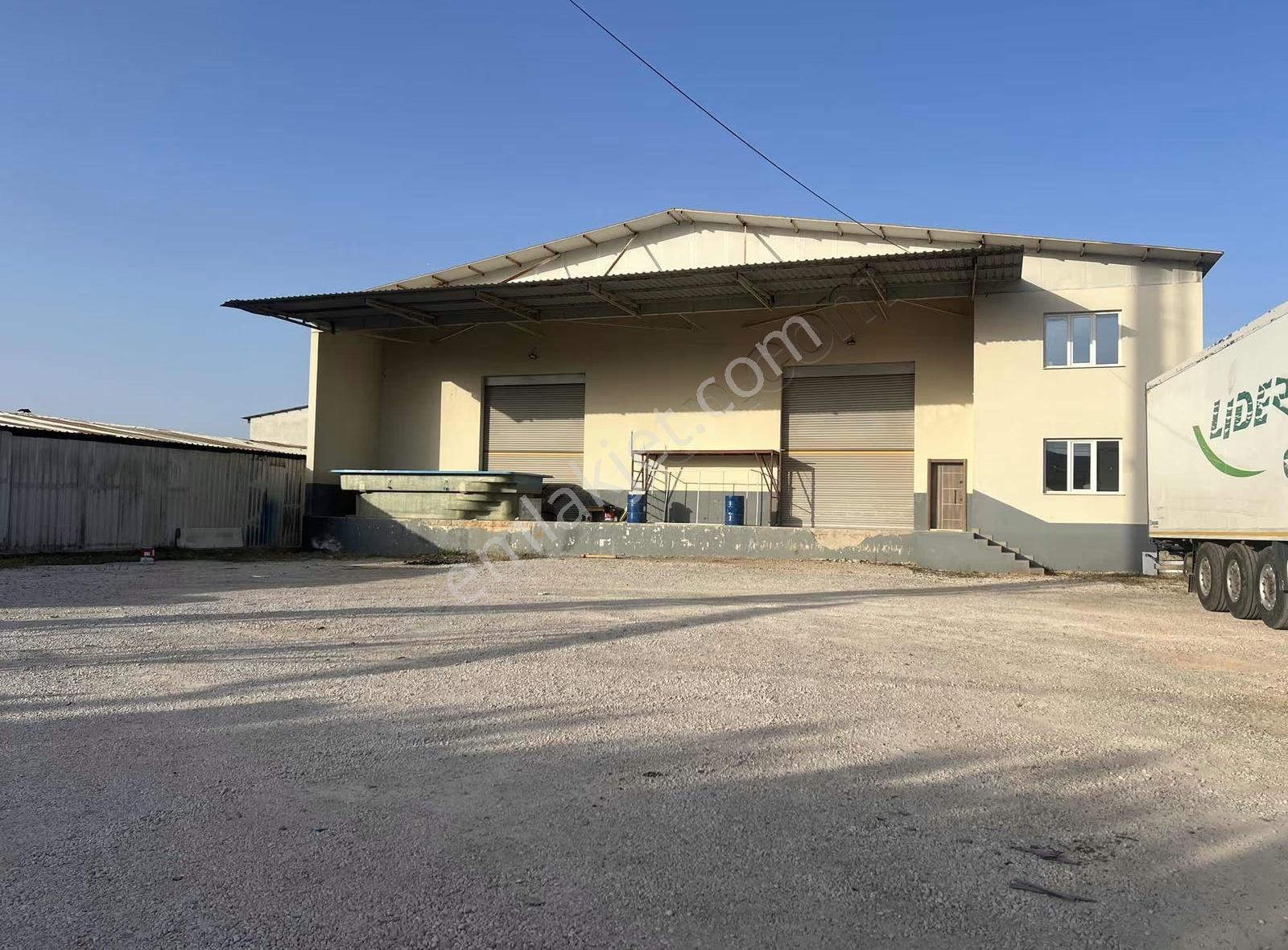 Altınovada Kiralık 1250 M2 Depo