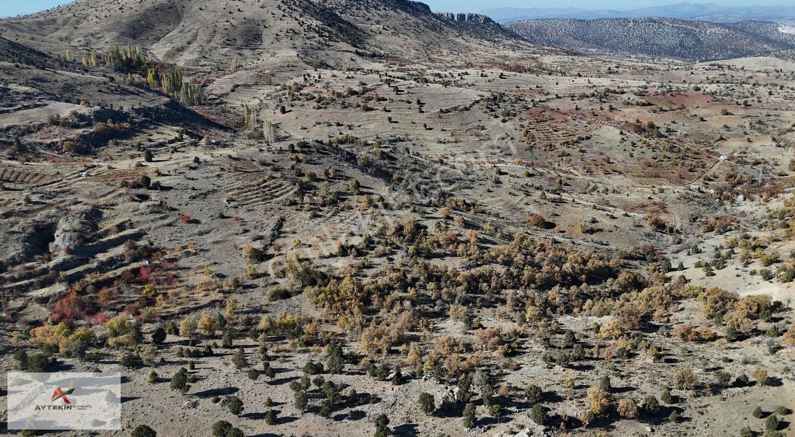 Bozkır Işıklar Mahallesinde 1.835 M² Müstakil Tapulu Tarla - Görsel 4