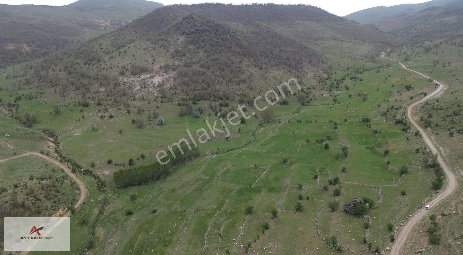 Meram Kilistra Mahallesinde 2.493 M² Müstakil Tapulu Tarla - Görsel 3