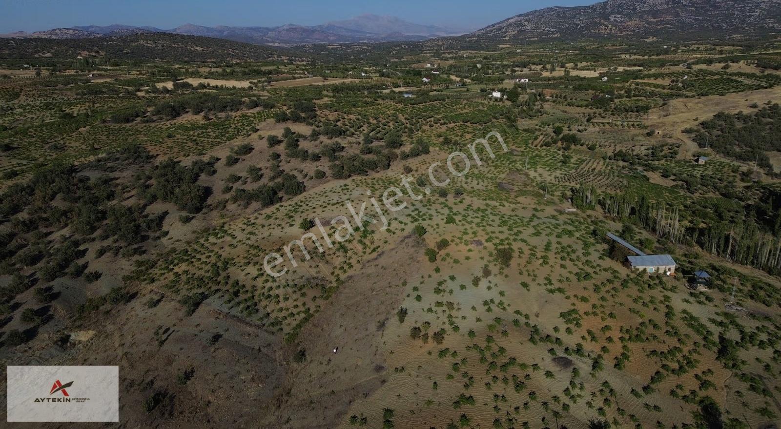 Bozkır Hamzalar Mahallesinde 1.005 M² Müstakil Tapulu Bağ - Görsel 2