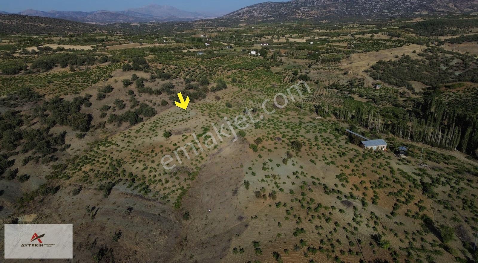 Bozkır Hamzalar Mahallesinde 1.005 M² Müstakil Tapulu Bağ - Görsel 8