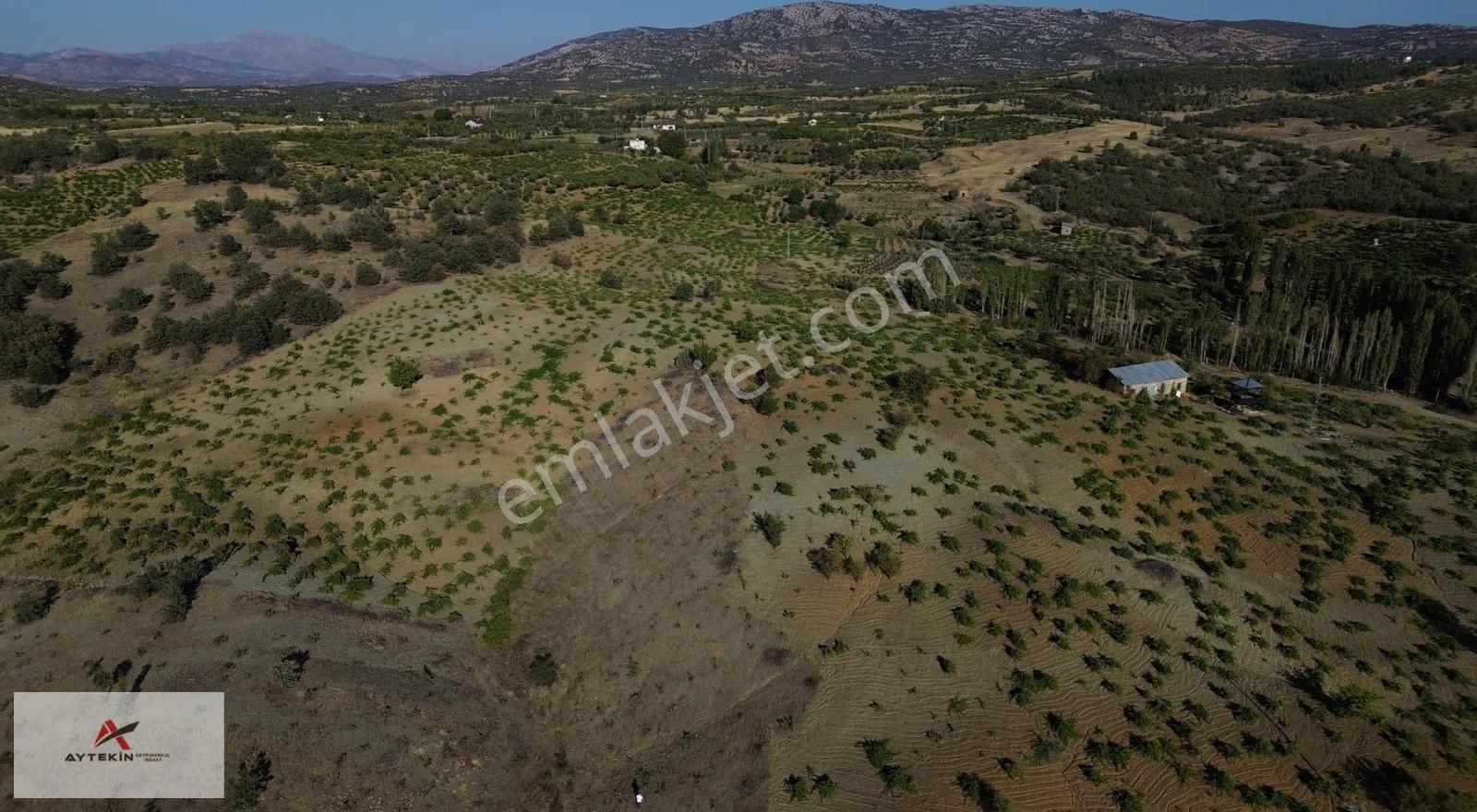 Bozkır Hamzalar Mahallesinde 1.005 M² Müstakil Tapulu Bağ - Görsel 6