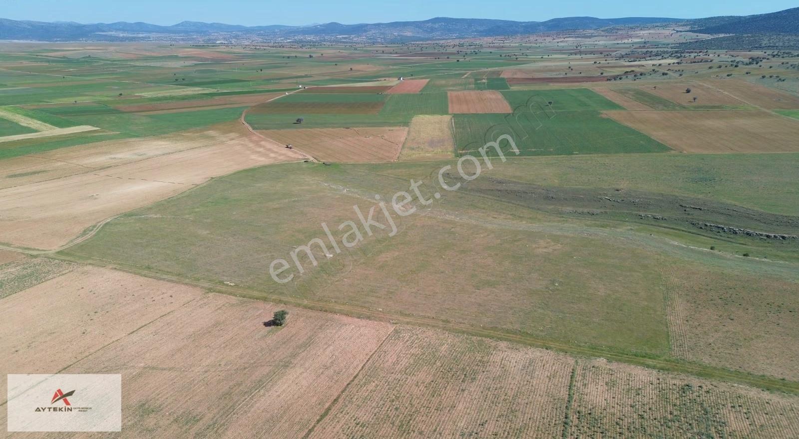 Akören Orhaniye Mahallesinde 43.317 M² Müstakil Tapulu Tarla