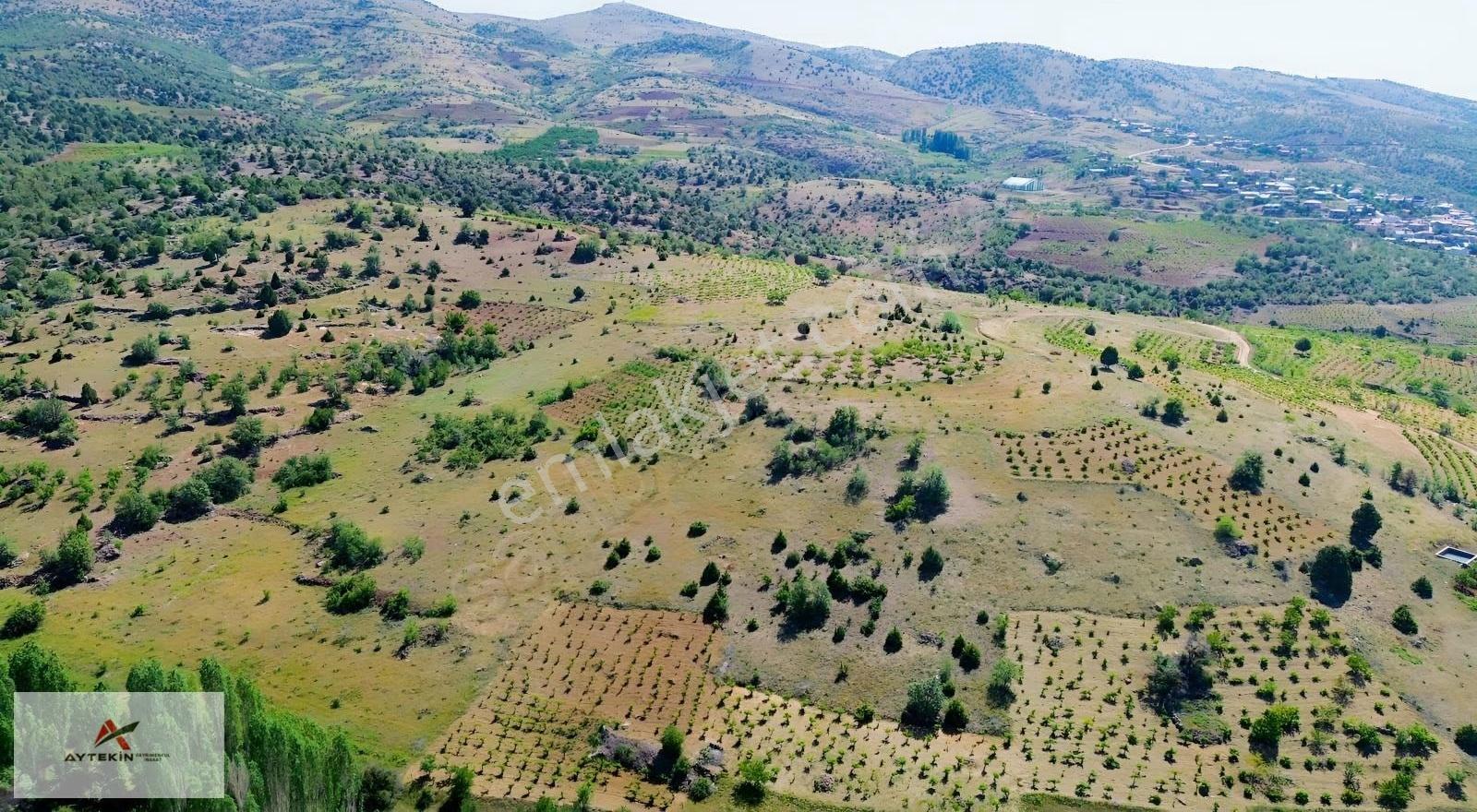 Hadim Aşağı Eşenler Mahallesinde 526 M² Müstakil Tapulu Bağ