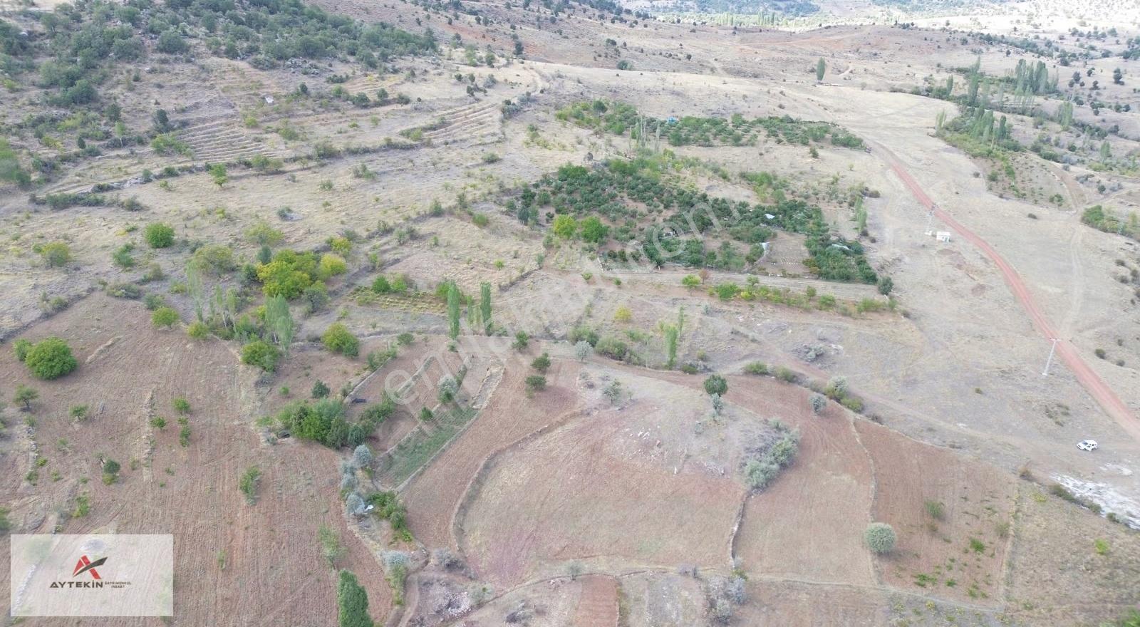 Bozkır Hacılar Mahallesinde 771 M² Müstakil Tapulu Bağ - Görsel 3