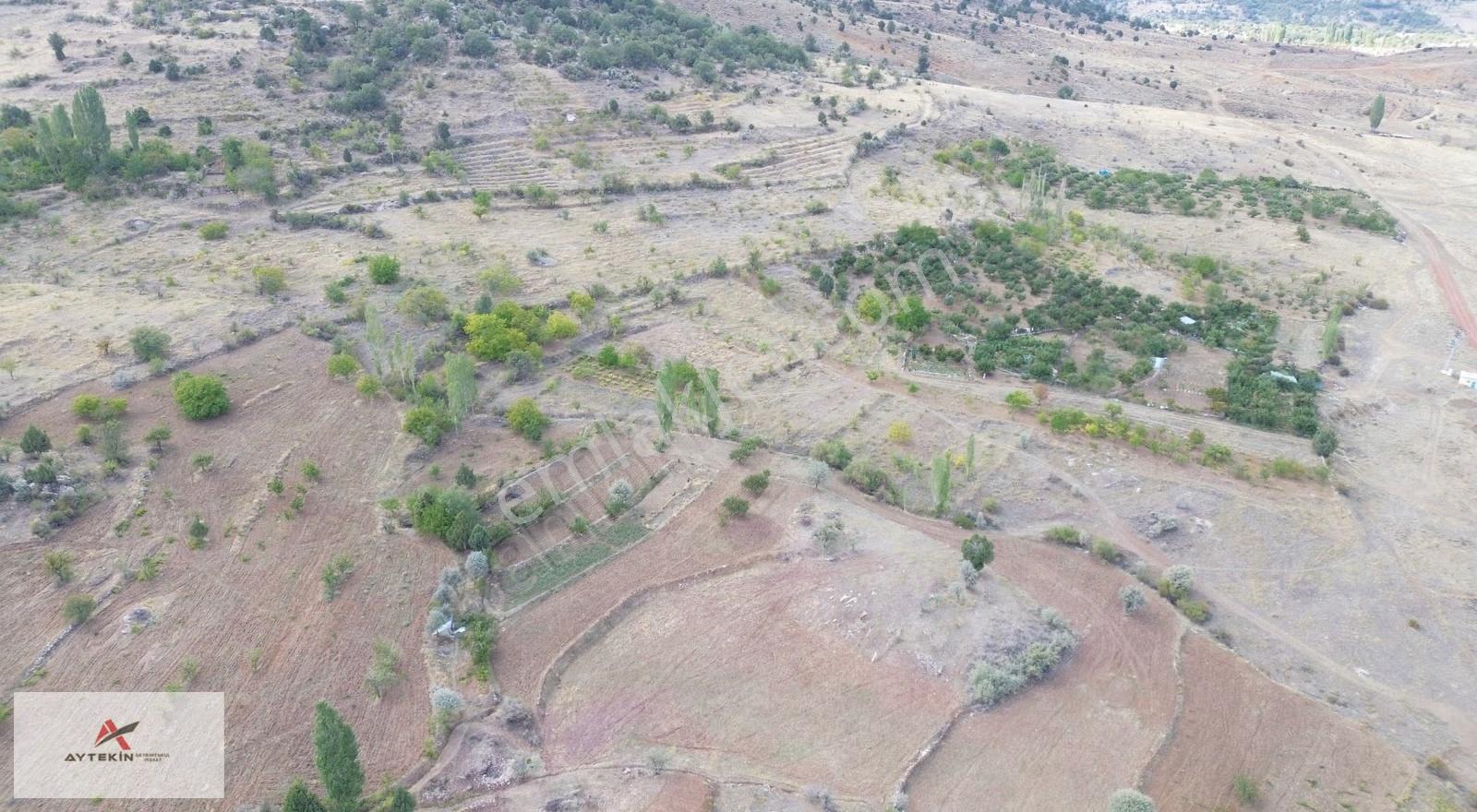 Bozkır Hacılar Mahallesinde 771 M² Müstakil Tapulu Bağ - Görsel 6