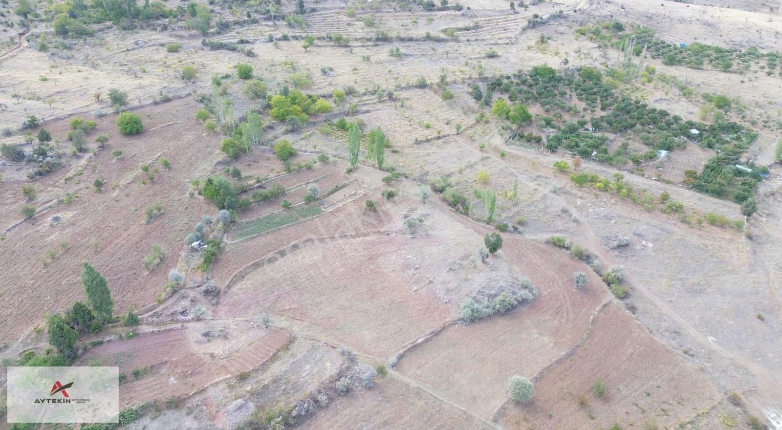 Bozkır Hacılar Mahallesinde 771 M² Müstakil Tapulu Bağ - Görsel 5