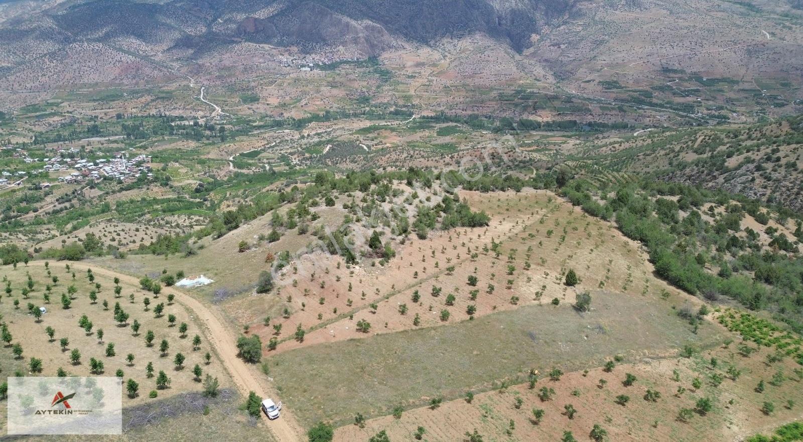 Hadim Yelmez Mahallesinde 2.910 M² Müstakil Tapulu Bahçelik - Görsel 3