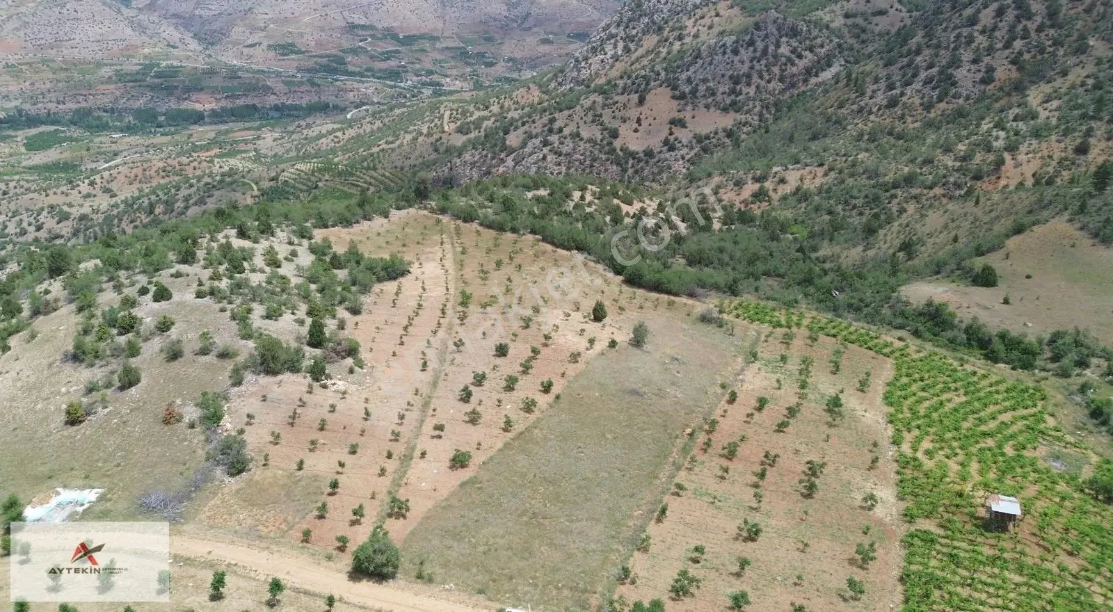 Hadim Yelmez Mahallesinde 2.910 M² Müstakil Tapulu Bahçelik