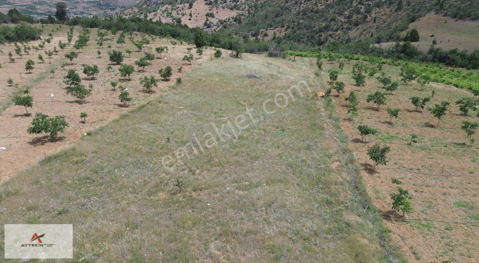 Hadim Yelmez Mahallesinde 2.910 M² Müstakil Tapulu Bahçelik - Görsel 9