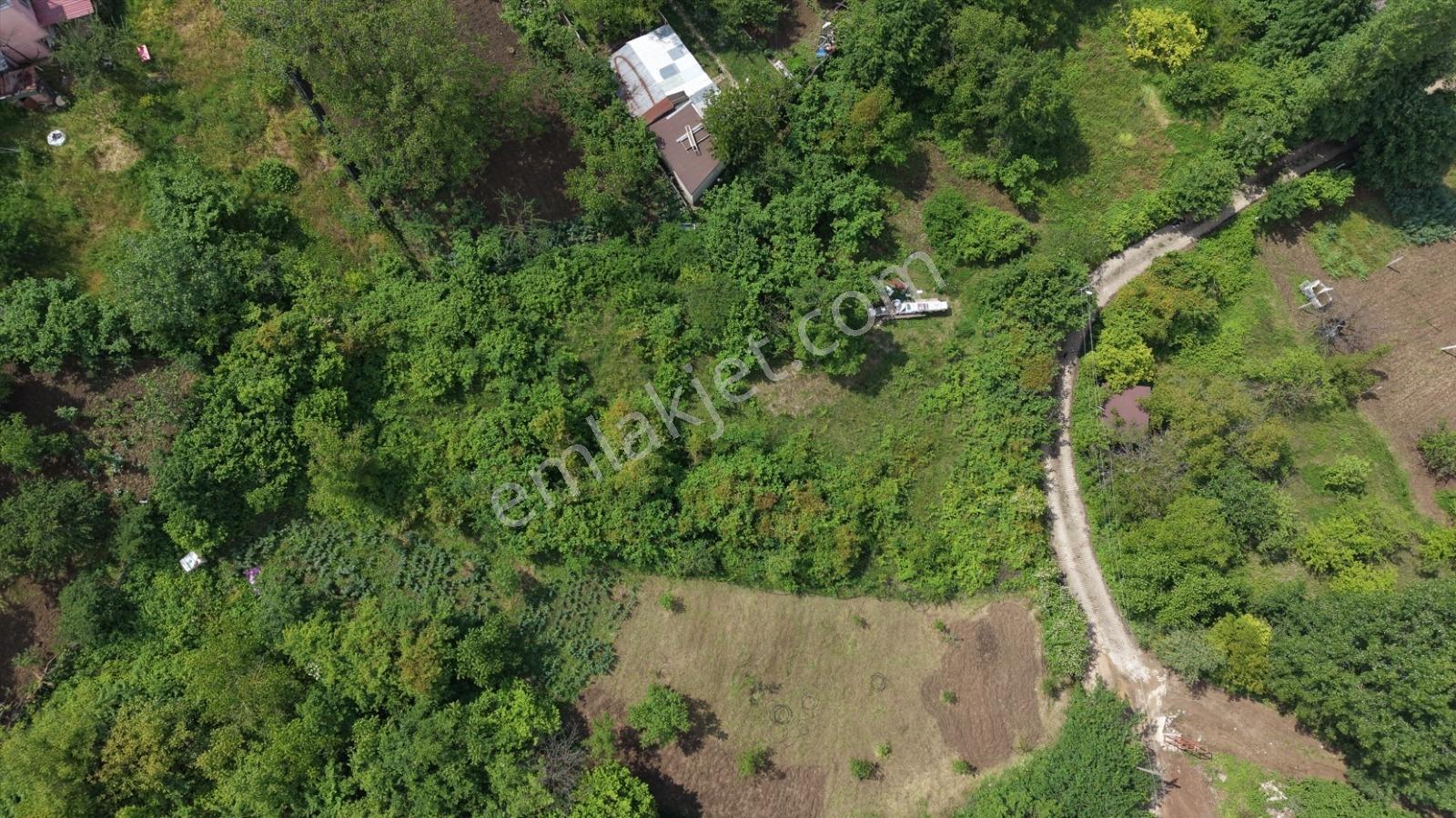 Karamürsel Çamçukur'da Köy İçi 1296m2 Bahçe! - Görsel 6