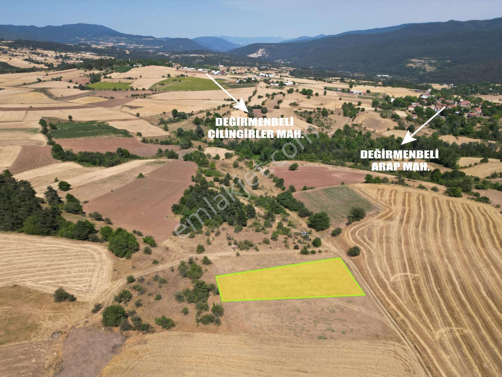 Çamlıoğlu Gayrimenkul'den - Tokmaklar Köyünde - 1.479 M² Tarla - Görsel 3