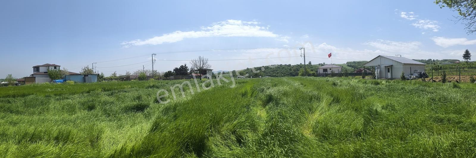Kandıra Dalca' Da Köyü İçinde Kazandıracak Fırsat Yatırımı Tarla