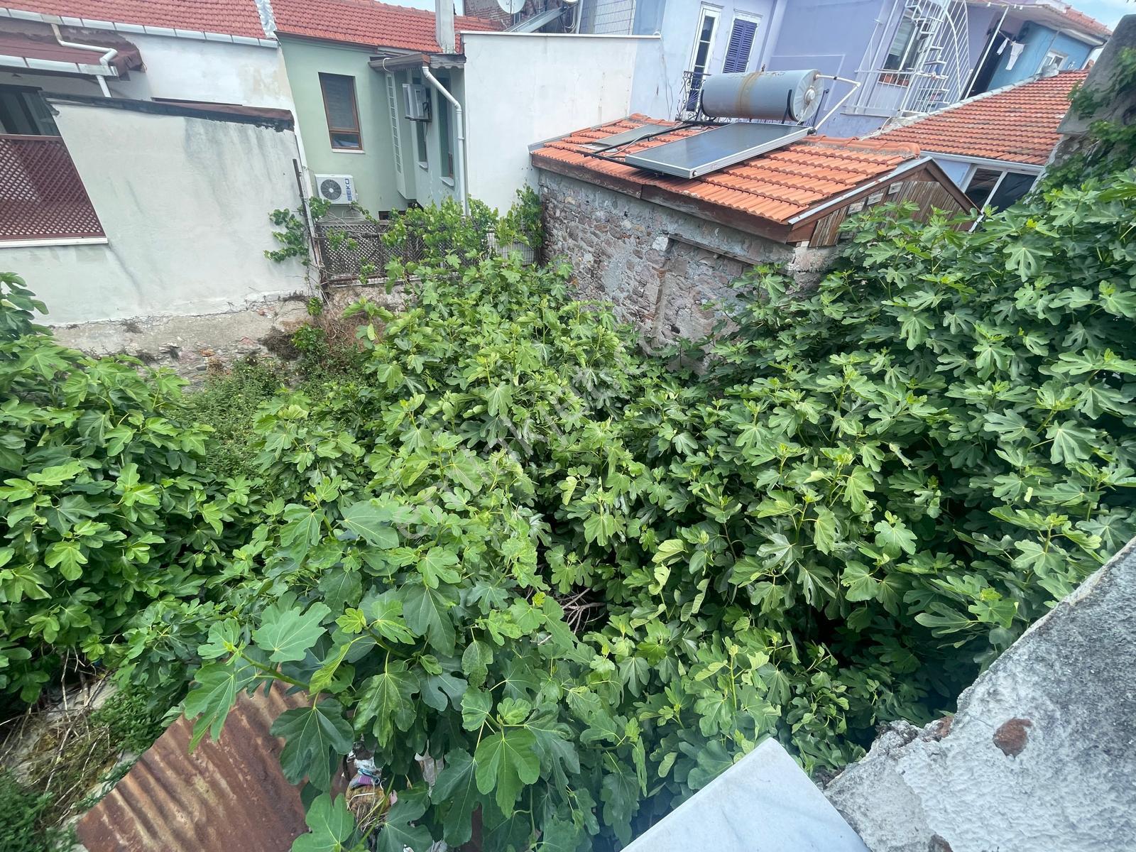 Ayvada'dan Ayvalık Gazikemalpaşa Denize 100 Metre Bahçeli 3 Katlı 4+1 Taş Rum Evi - Görsel 34