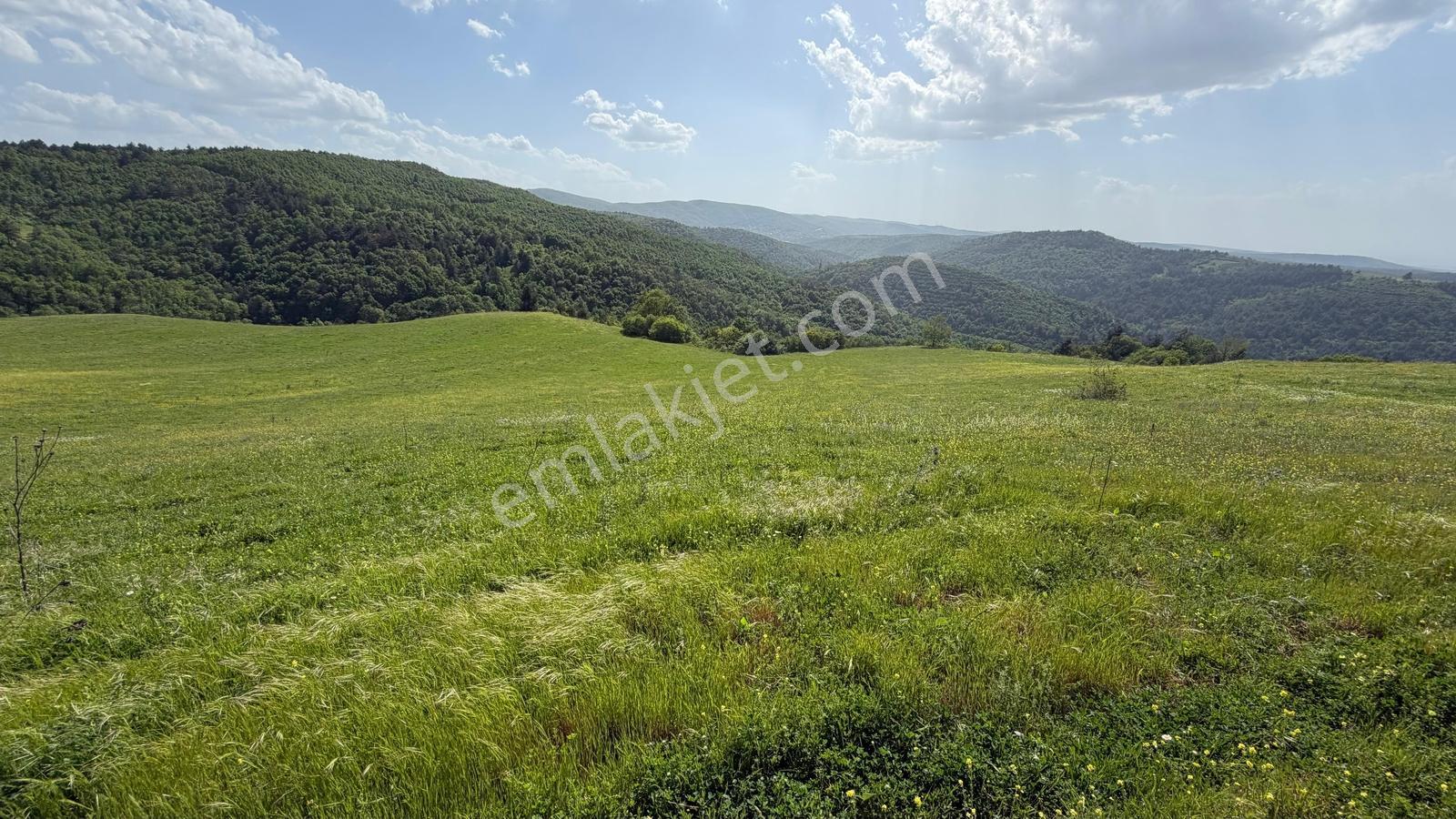 Beynil'den Çalı Da 10.500m2 Manzaralı Tarla - Görsel 2