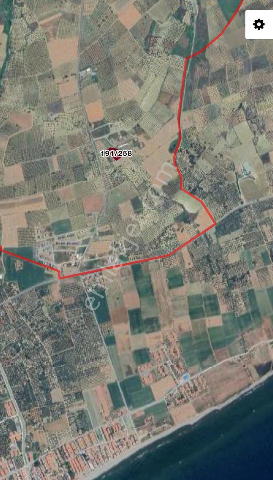 Deniz Manzaralı, 1820m² Zeytin Ağaçlı Arsa - Yatırım Fırsatı - Görsel 3