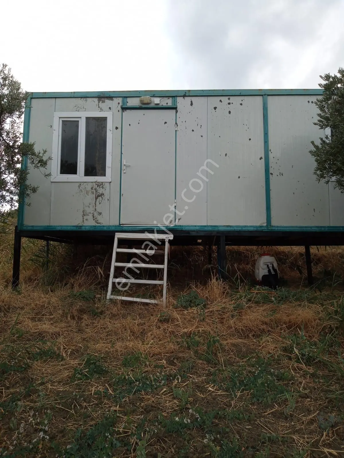 Deniz Manzaralı, 1820m² Zeytin Ağaçlı Arsa - Yatırım Fırsatı - Görsel 9
