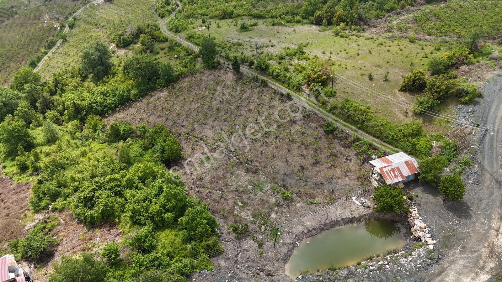 ░_*arcıty*_░den Güzelyayla'da Yola Cepheli/şftali Bahç. 3260m² - Görsel 7