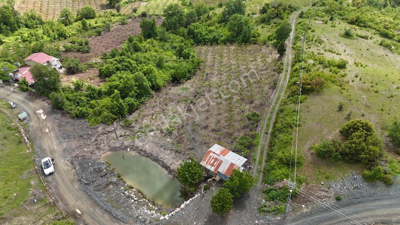 ░_*arcıty*_░den Güzelyayla'da Yola Cepheli/şftali Bahç. 3260m² - Görsel 6