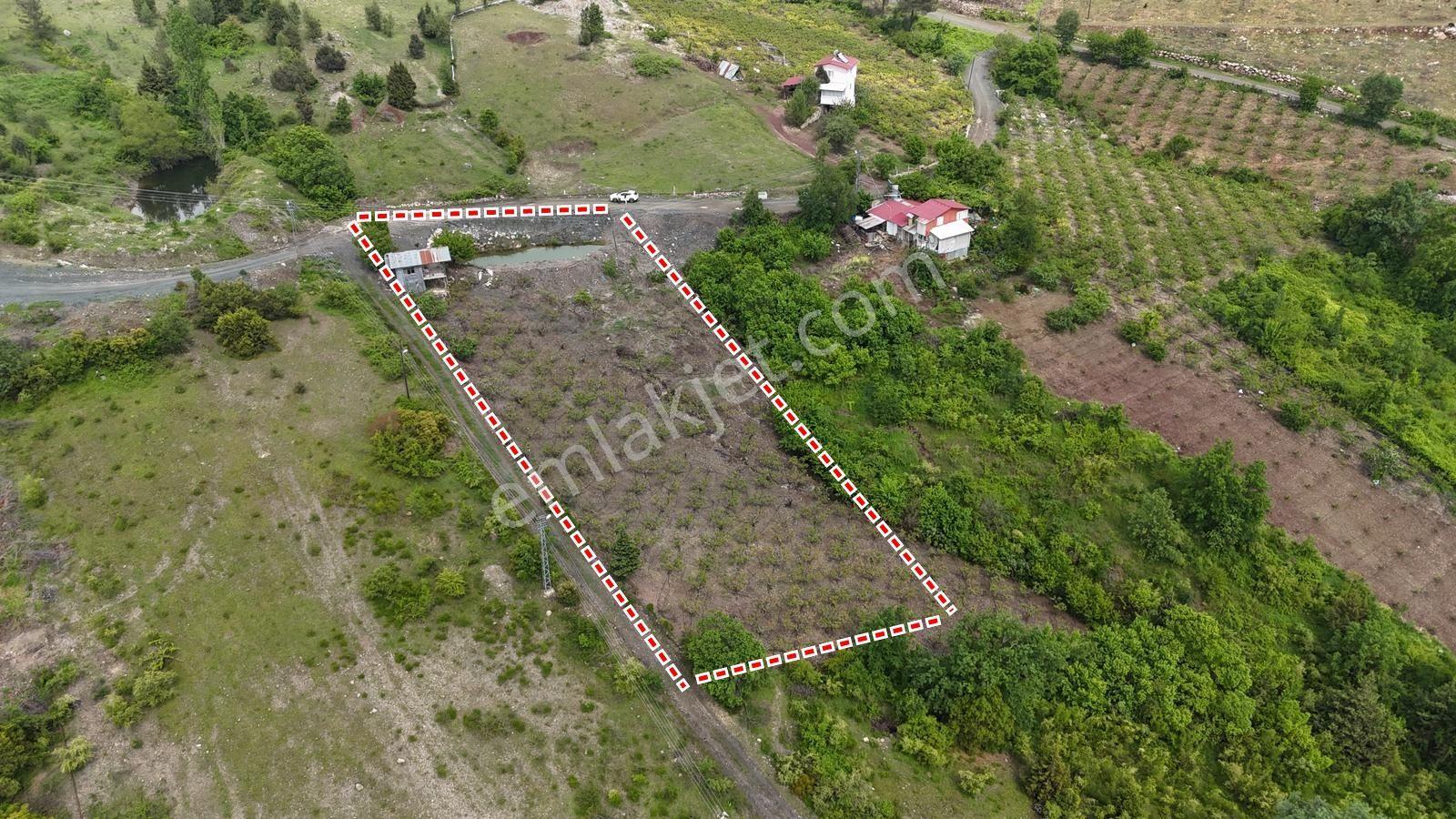 ░_*arcıty*_░den Güzelyayla'da Yola Cepheli/şftali Bahç. 3260m² - Görsel 2