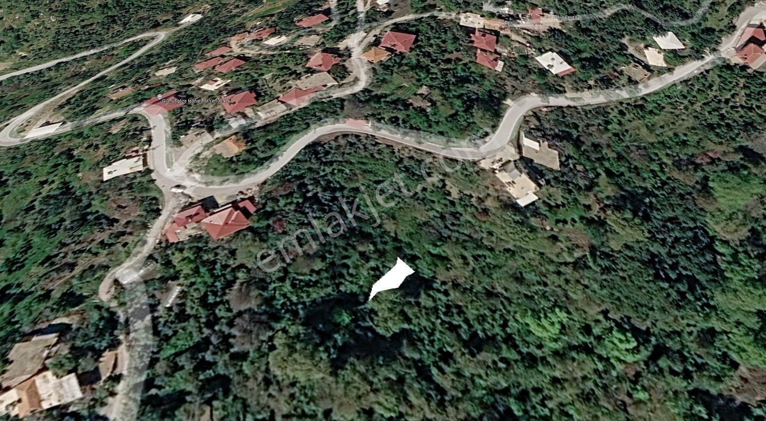 Antalya Alanya Gümüşgözede Satılık Tarla - Görsel 2