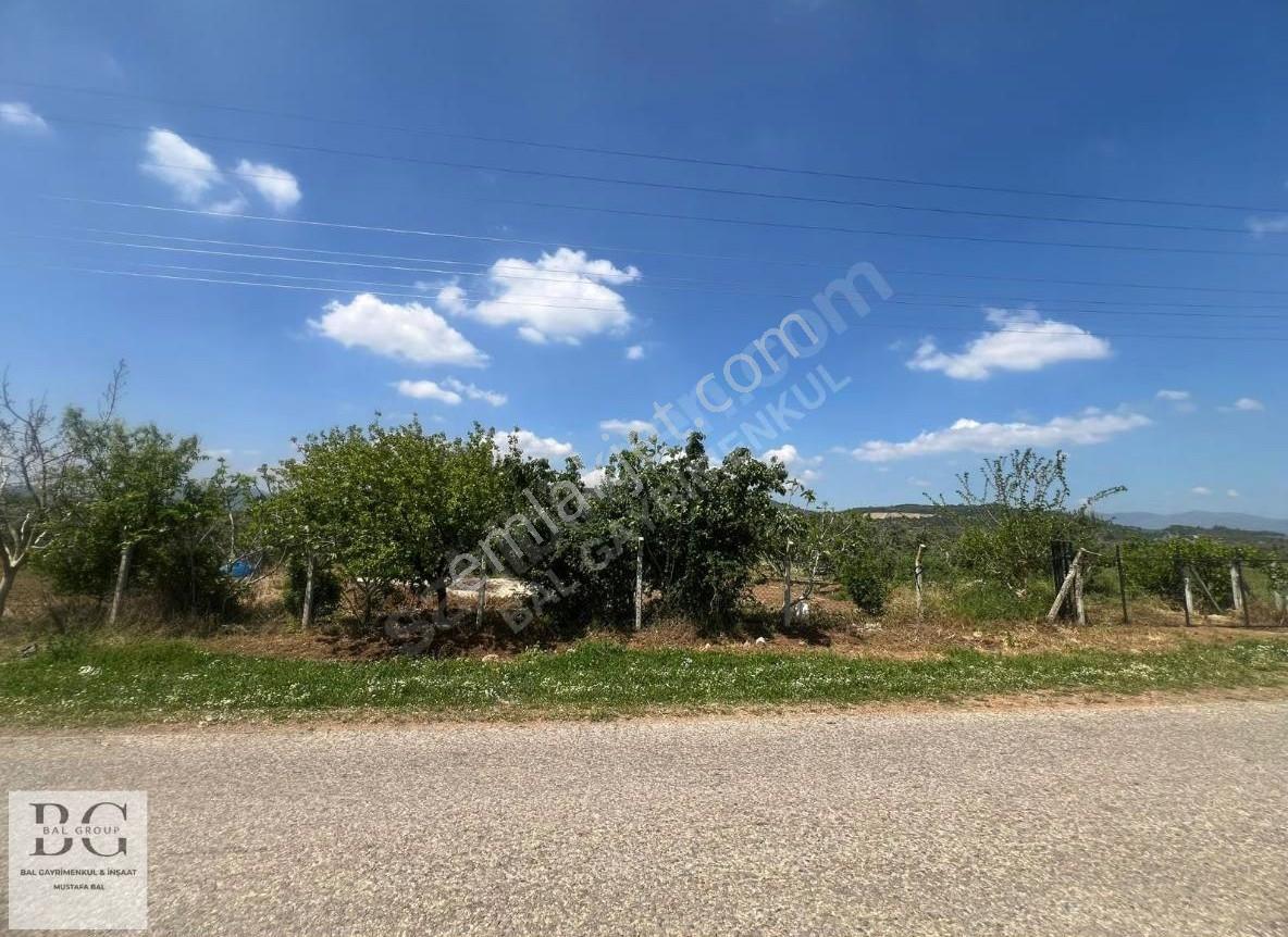 Menderes Küner'de Elektrik Su Hazır Satılık 250 M2 Bahçe - Görsel 5