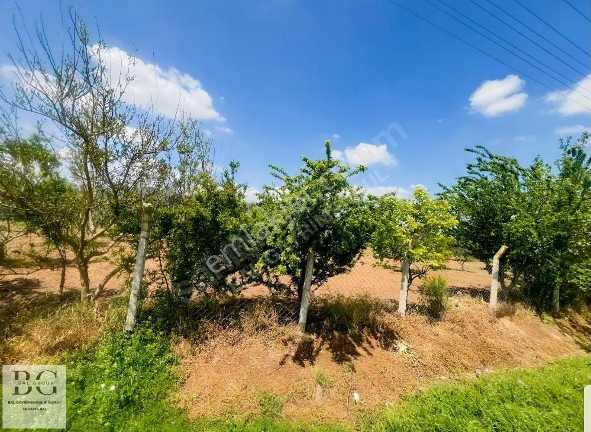 Menderes Küner'de Elektrik Su Hazır Satılık 250 M2 Bahçe - Görsel 7