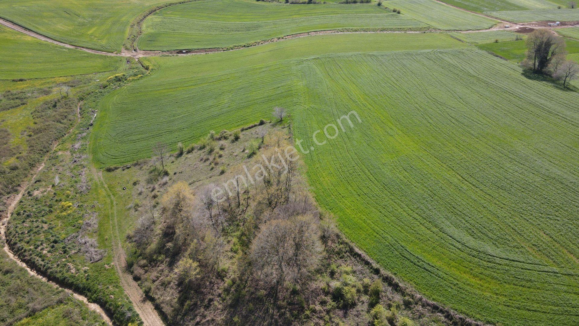 Akgün Kurumsal'dan Bafra Doğankaya'da Satılık 105,260 M2 Tarla - Görsel 54