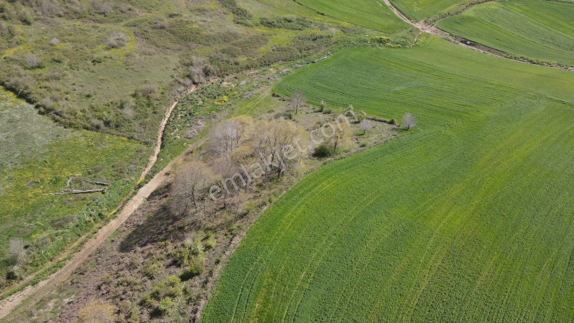 Akgün Kurumsal'dan Bafra Doğankaya'da Satılık 105,260 M2 Tarla - Görsel 7