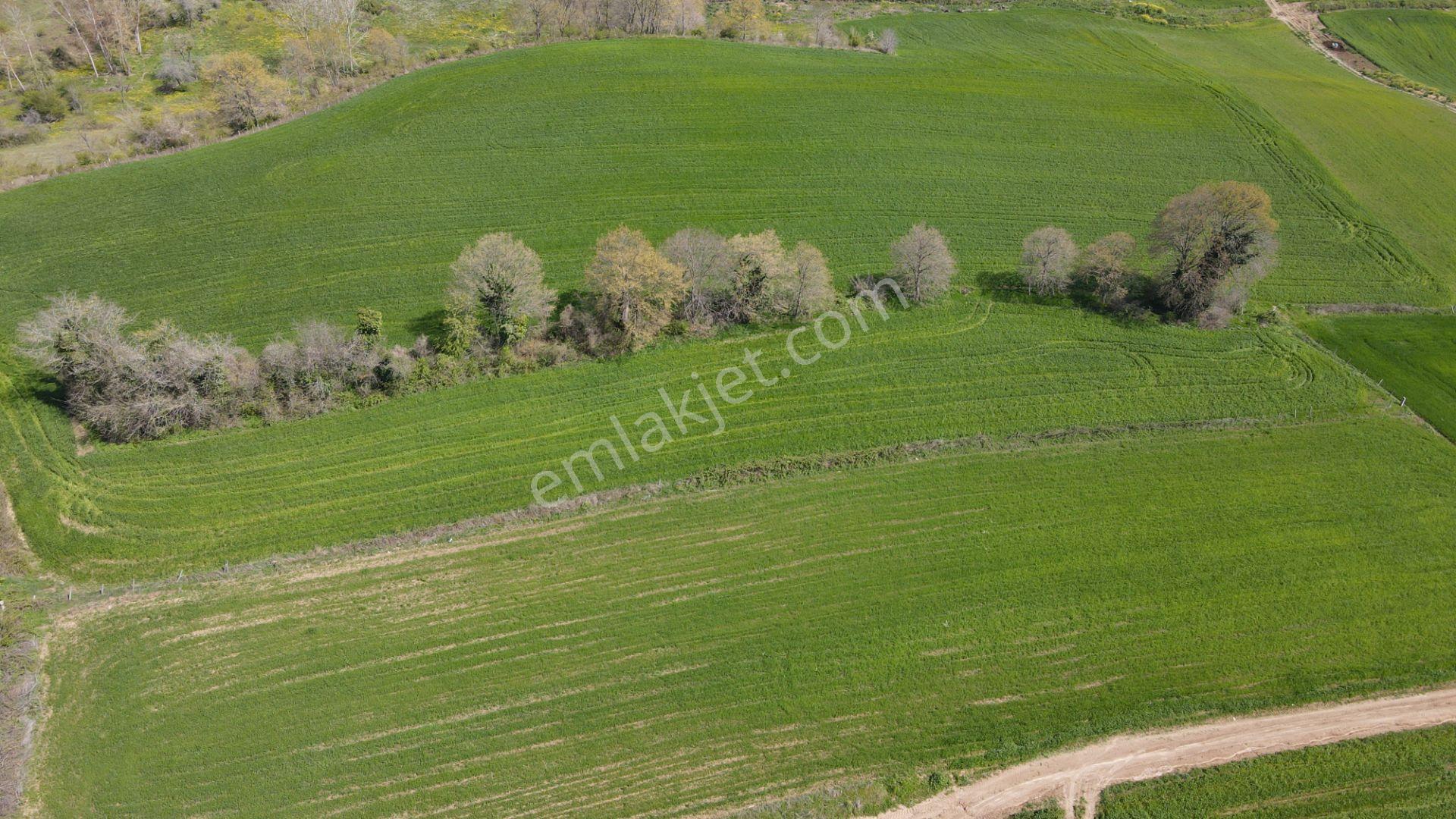 Akgün Kurumsal'dan Bafra Doğankaya'da Satılık 105,260 M2 Tarla - Görsel 41