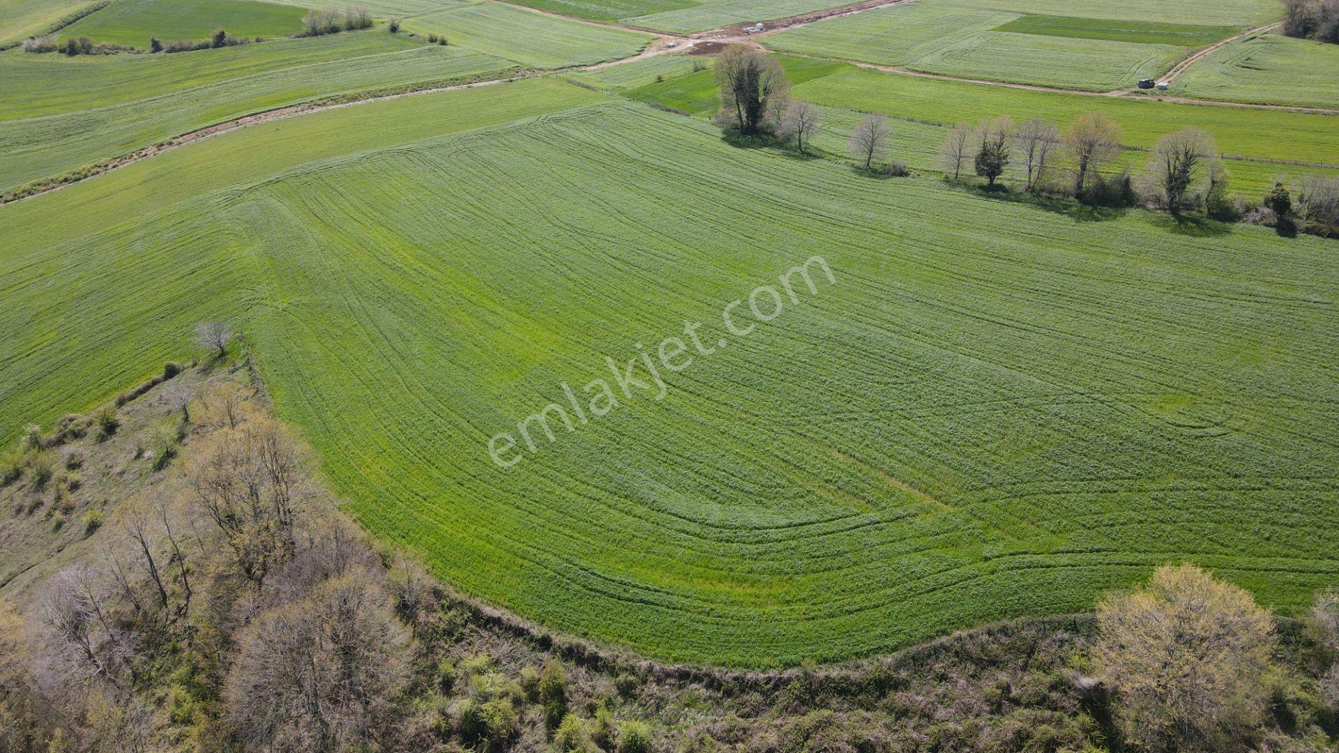 Akgün Kurumsal'dan Bafra Doğankaya'da Satılık 105,260 M2 Tarla - Görsel 48