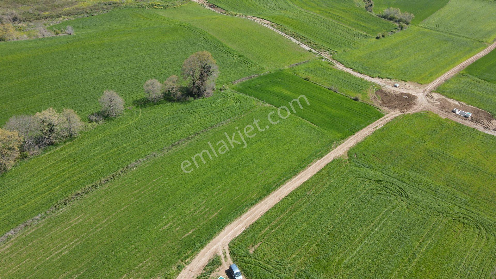 Akgün Kurumsal'dan Bafra Doğankaya'da Satılık 105,260 M2 Tarla - Görsel 23
