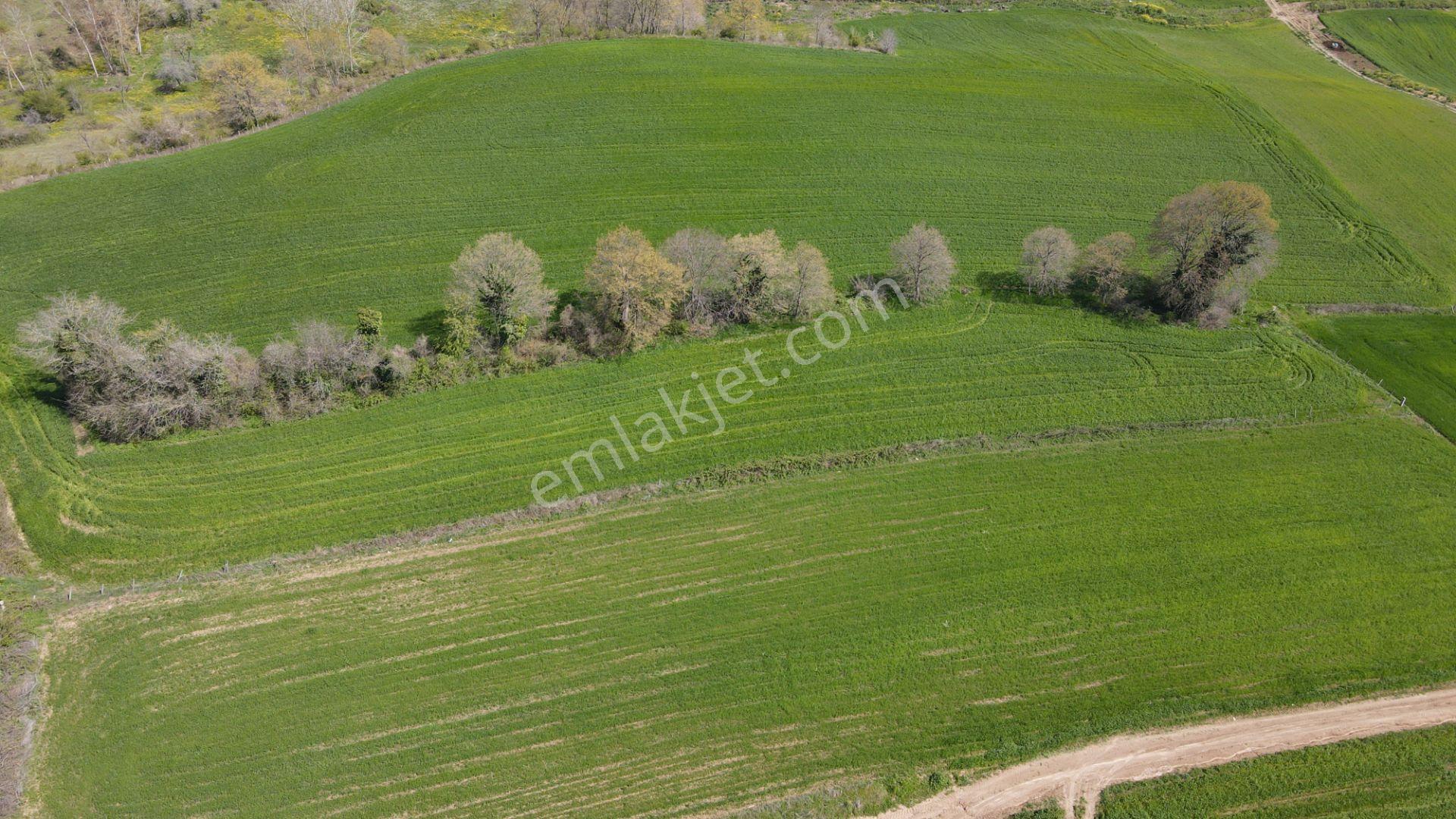 Akgün Kurumsal'dan Bafra Doğankaya'da Satılık 105,260 M2 Tarla - Görsel 3