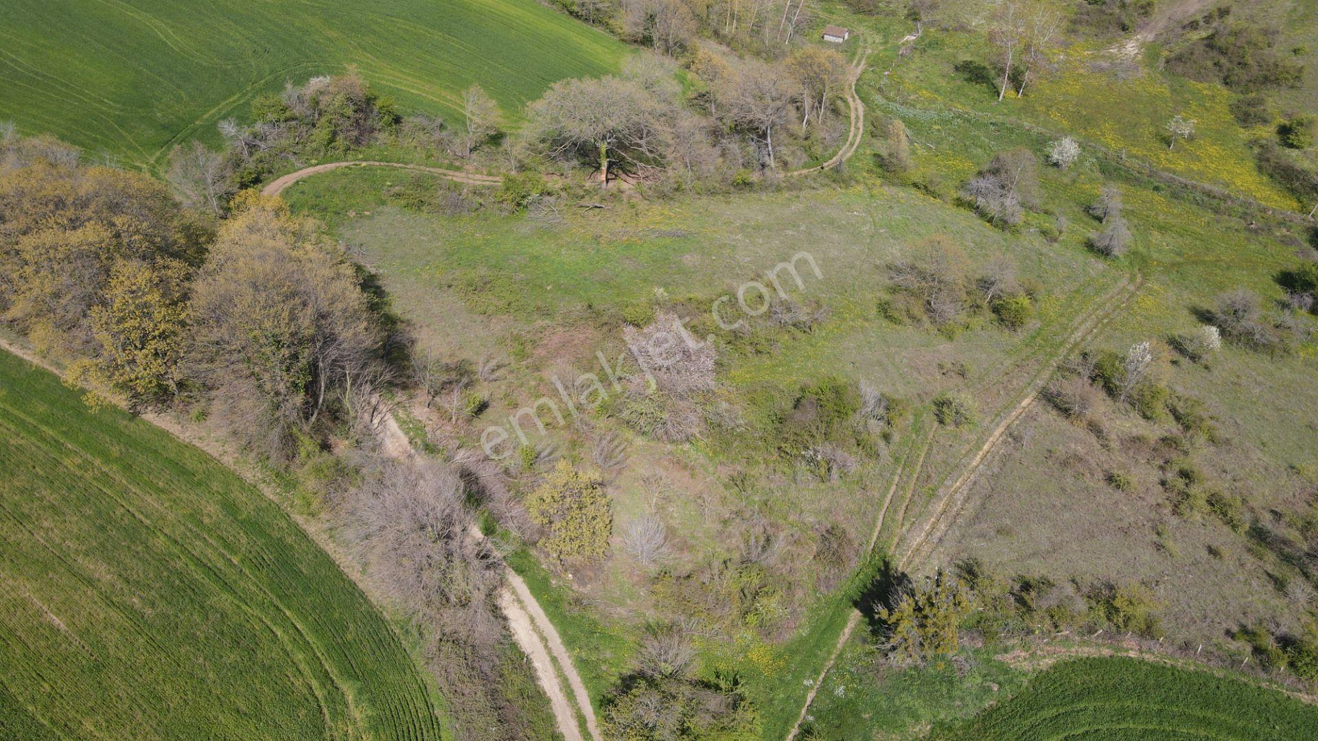 Akgün Kurumsal'dan Bafra Doğankaya'da Satılık 105,260 M2 Tarla - Görsel 6