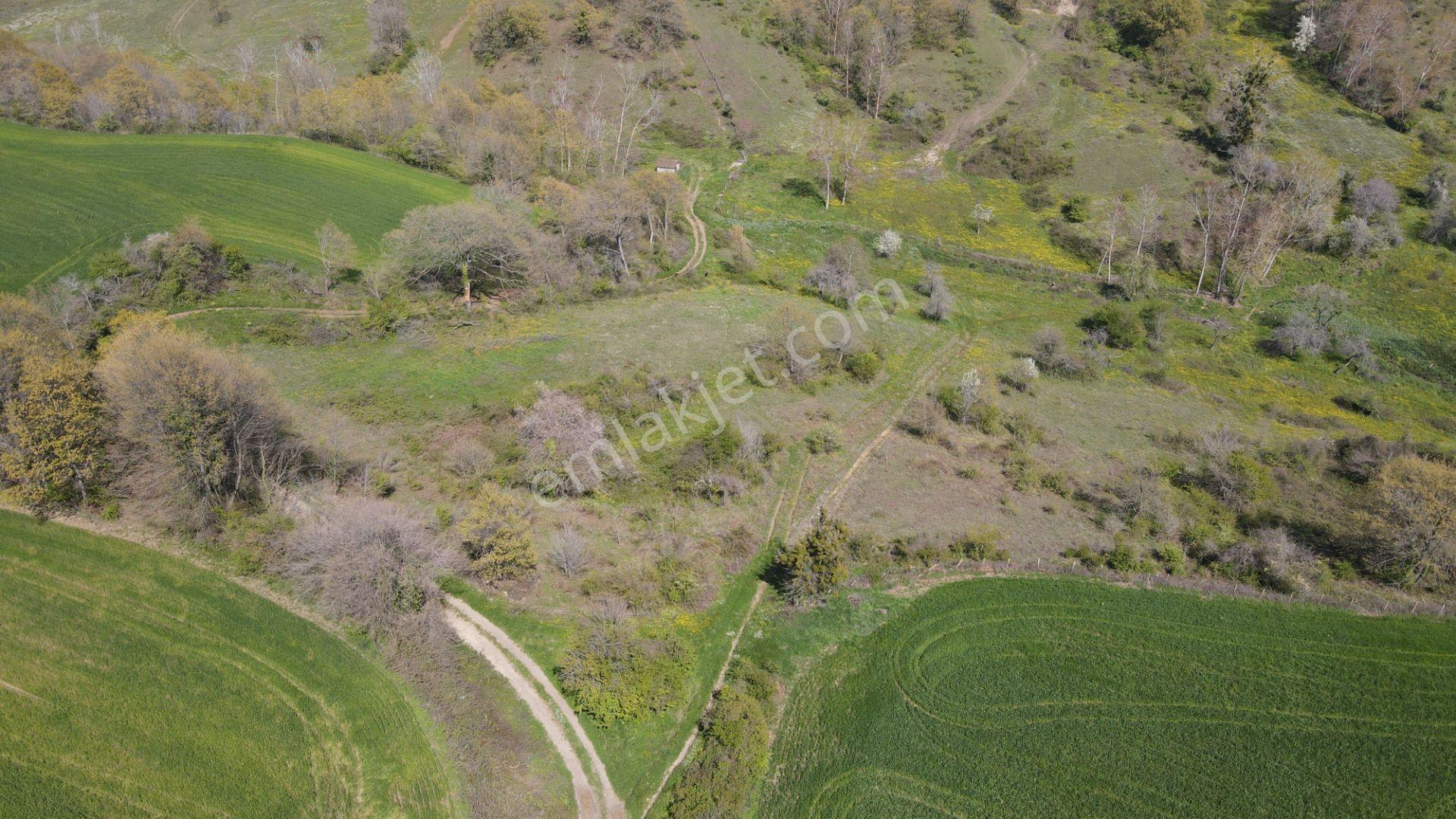 Akgün Kurumsal'dan Bafra Doğankaya'da Satılık 105,260 M2 Tarla - Görsel 25