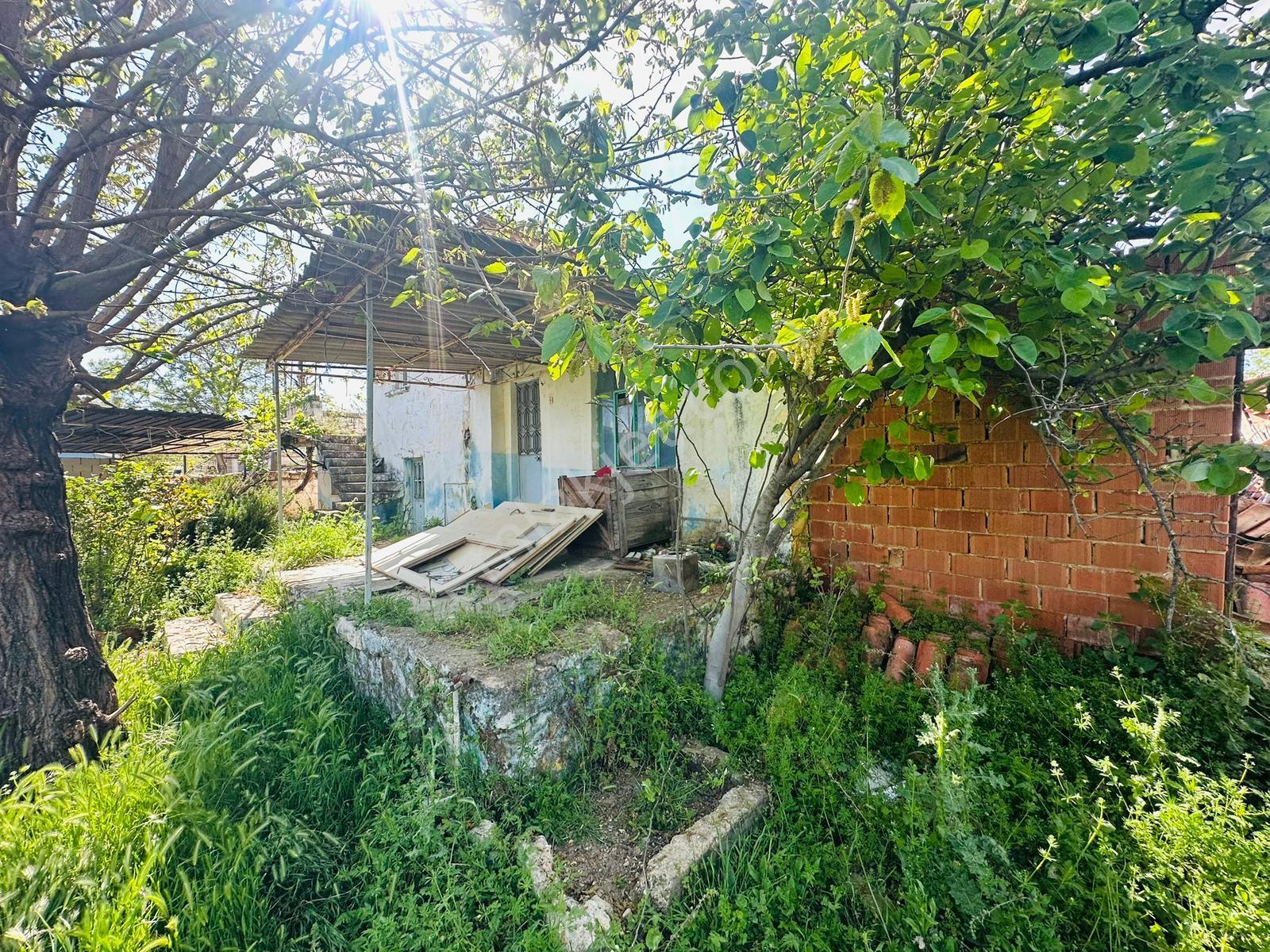 Satılık Köy Evi Tire Yenioba Köyü - Görsel 23