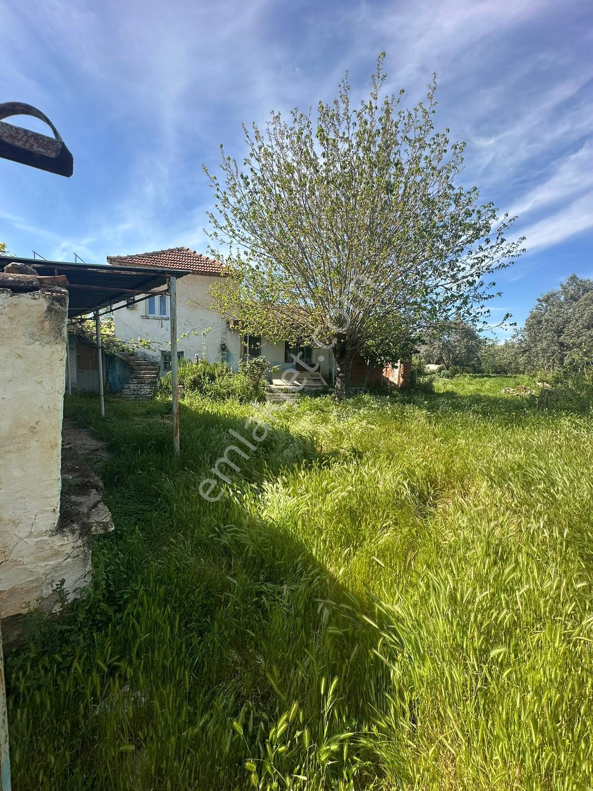 Satılık Köy Evi Tire Yenioba Köyü - Görsel 17
