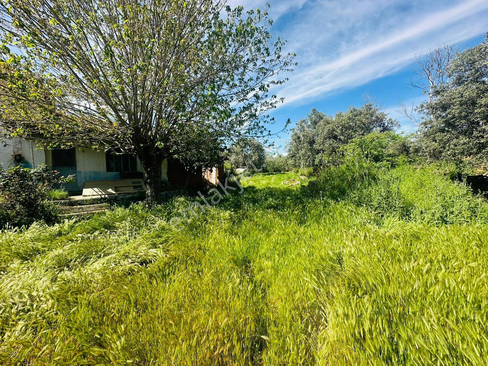 Satılık Köy Evi Tire Yenioba Köyü - Görsel 20