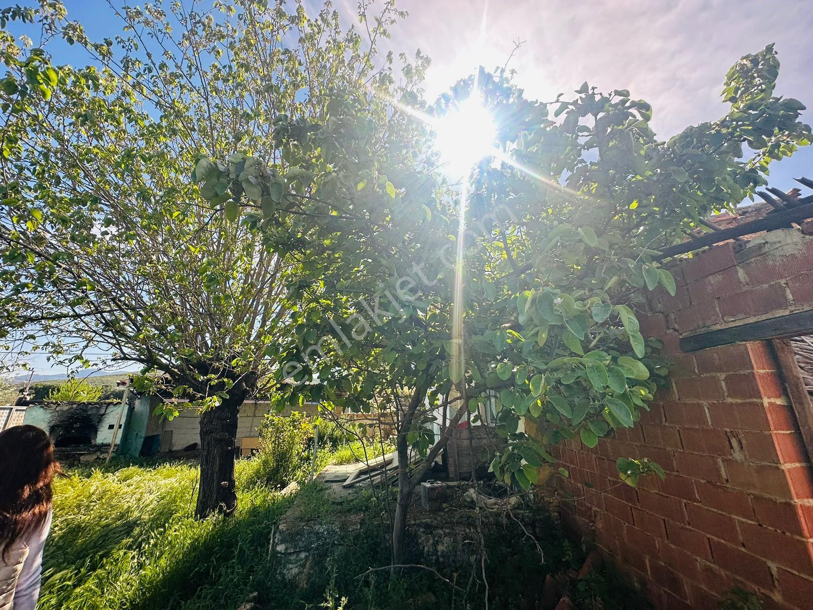 Satılık Köy Evi Tire Yenioba Köyü - Görsel 16