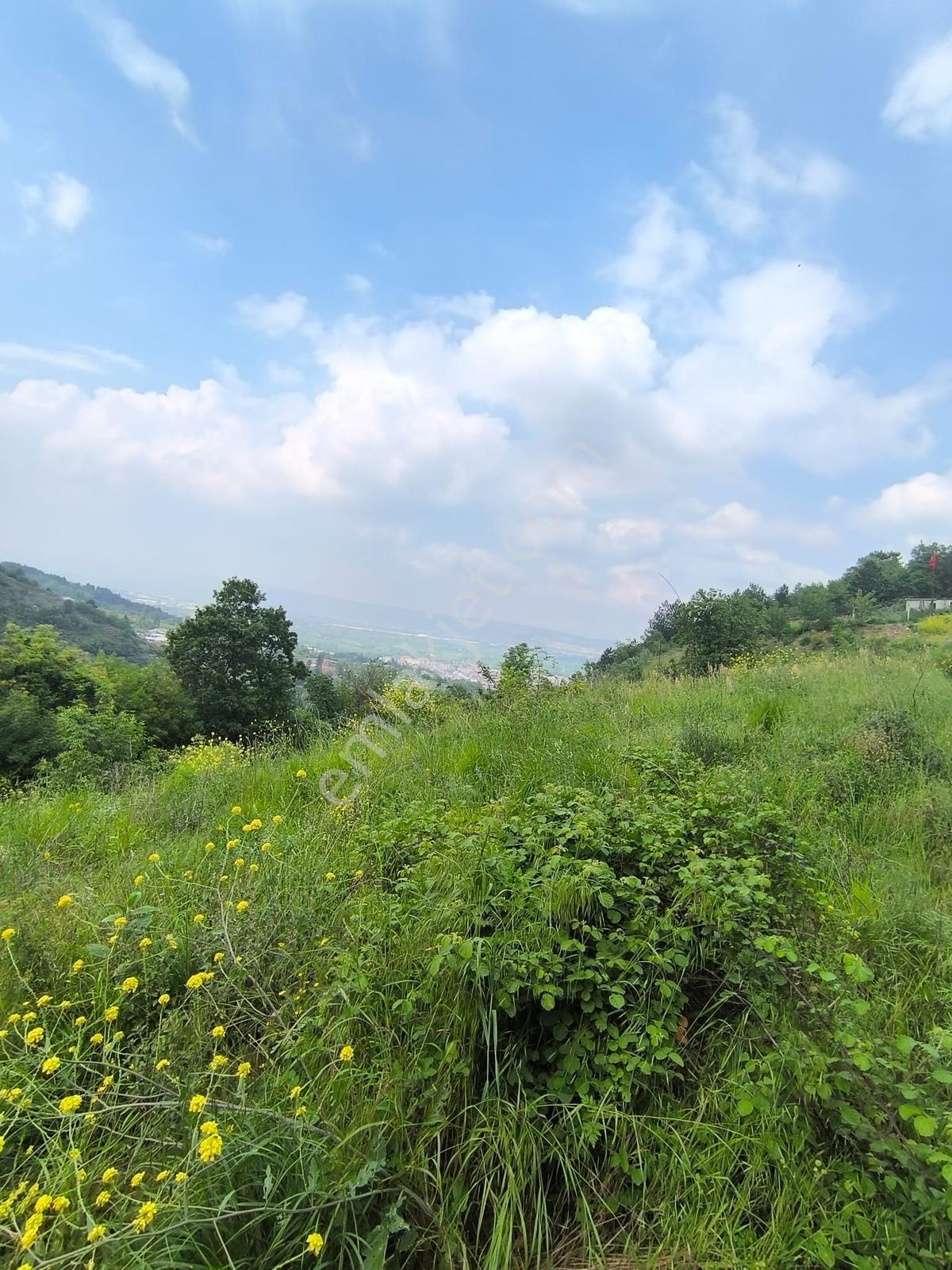 Kariyer'den Cerrah'ta Panoromik Manzaralı Asfalta Sıfır Satılık - Görsel 19