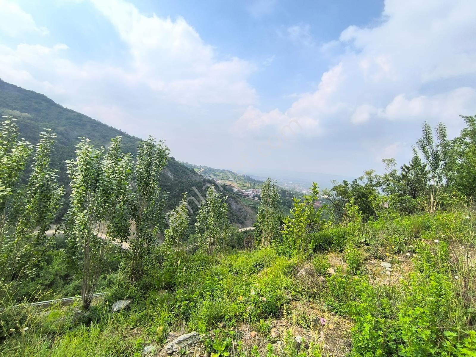 Kariyer'den Cerrah'ta Panoromik Manzaralı Asfalta Sıfır Satılık - Görsel 15