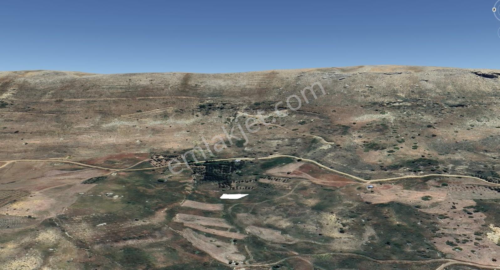 Antalya Alanya Yaylalı'da Satılık Tarla - Görsel 5