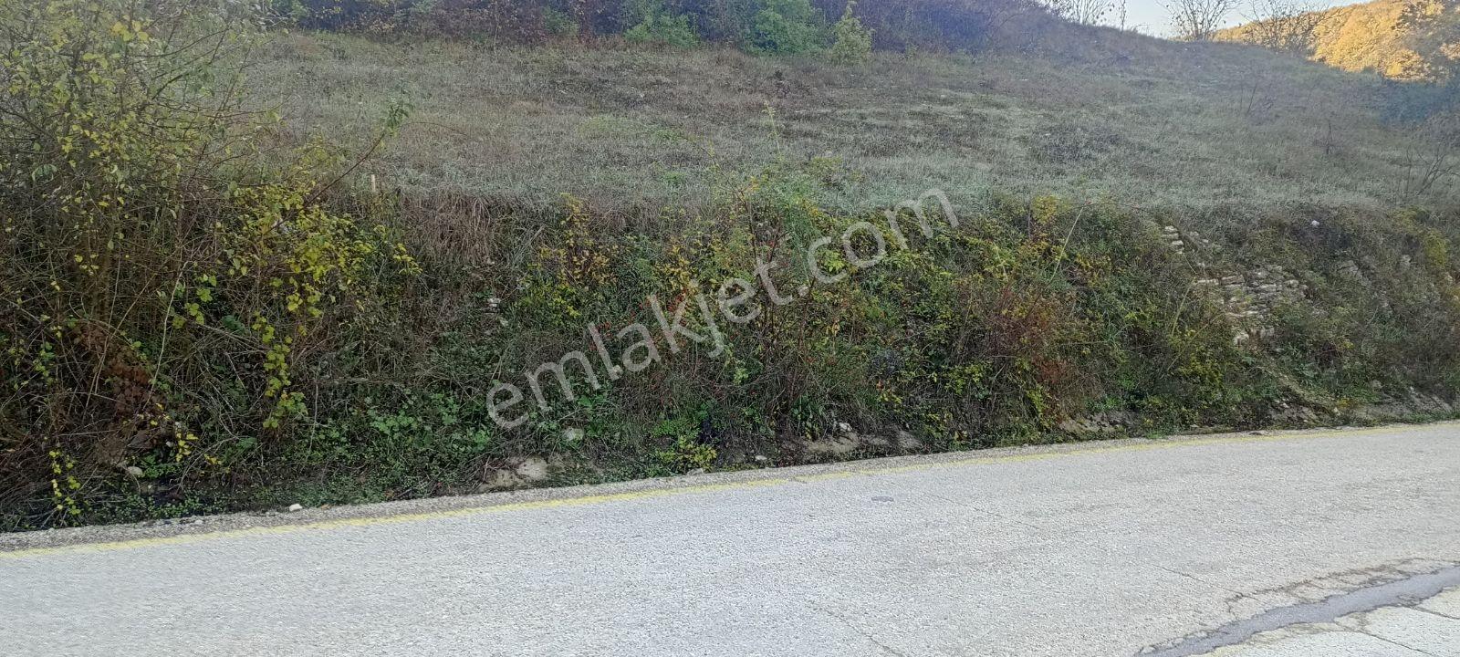 Kocaeli Kandıra Nasuhlarda Köye Yakın Asfalta Cephe 329 M2 Arsa - Görsel 9