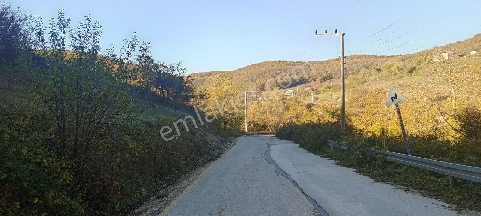 Kocaeli Kandıra Nasuhlarda Köye Yakın Asfalta Cephe 329 M2 Arsa - Görsel 5