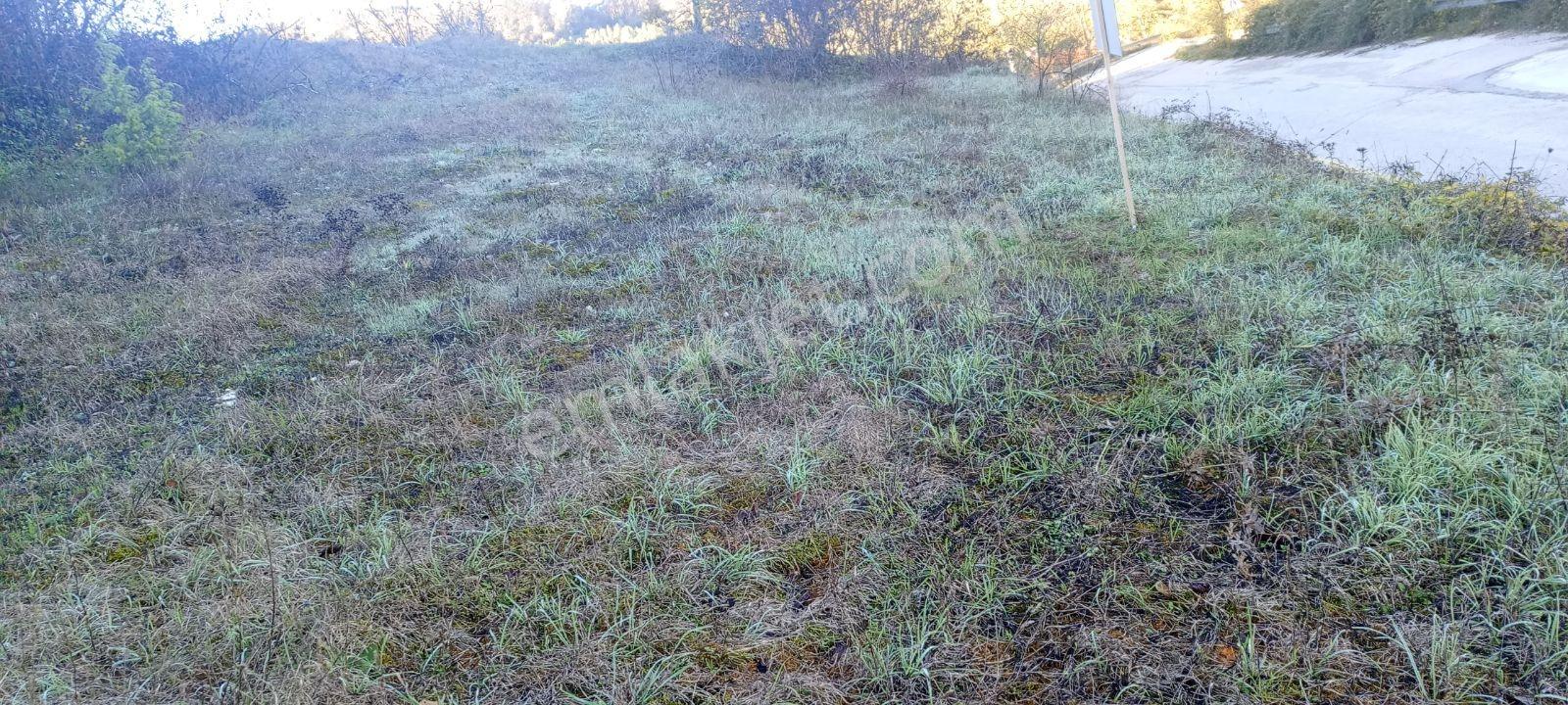 Kocaeli Kandıra Nasuhlarda Köye Yakın Asfalta Cephe 329 M2 Arsa - Görsel 15