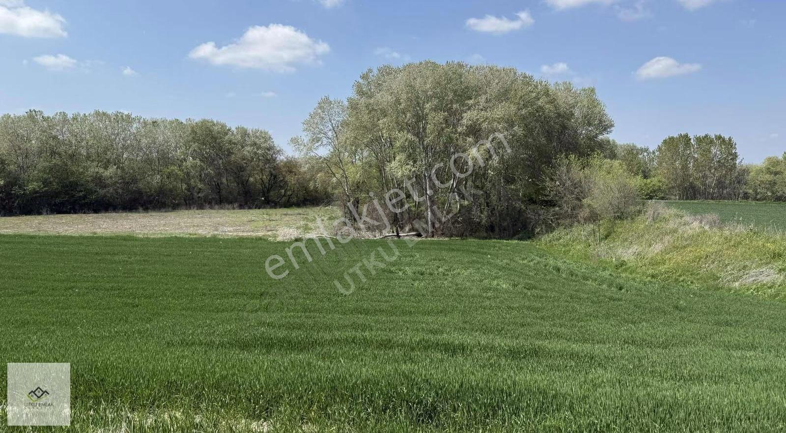 Utku Emlak Tan Babaeski Nadırlıda 8307 M2 Satılık Tarla - Görsel 6