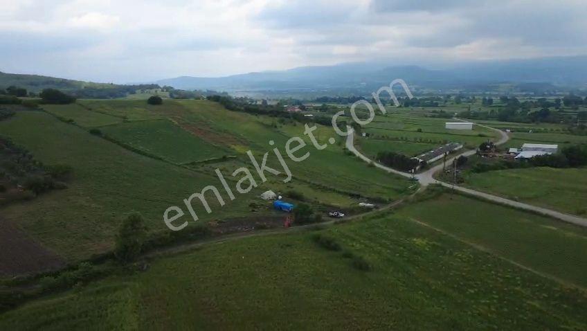Öztarlacıdan Satılık Yola Cephe Köye 500 Metre Arazi - Görsel 14