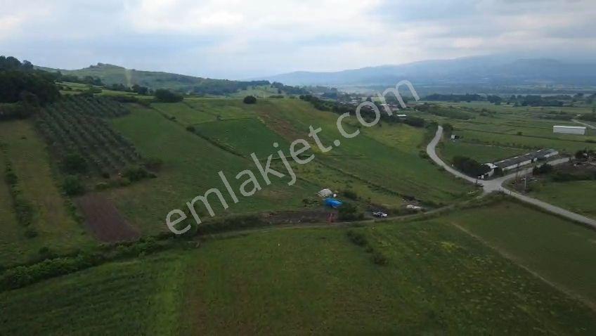 Öztarlacıdan Satılık Yola Cephe Köye 500 Metre Arazi - Görsel 9