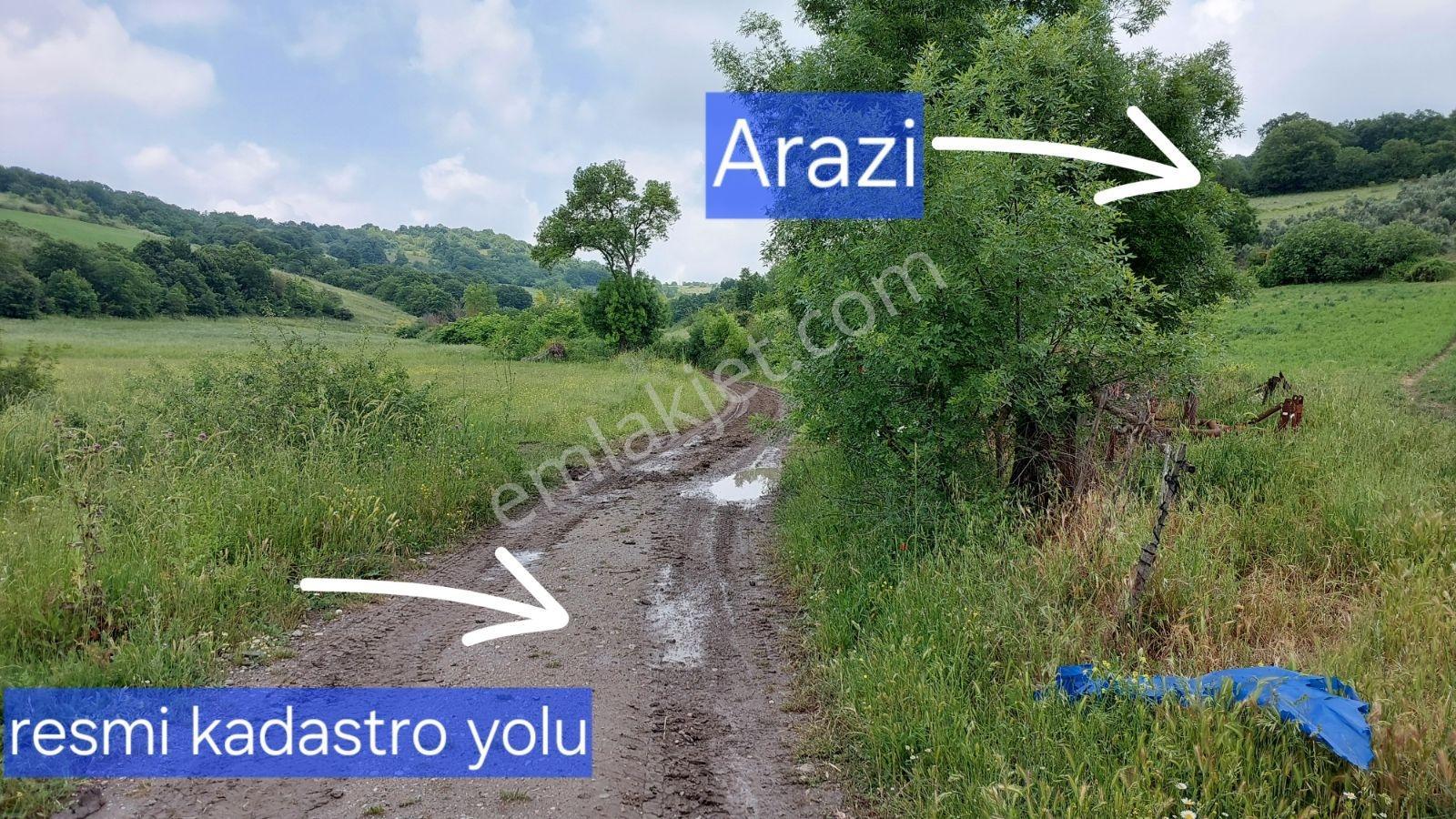 Öztarlacıdan Satılık Yola Cephe Köye 500 Metre Arazi