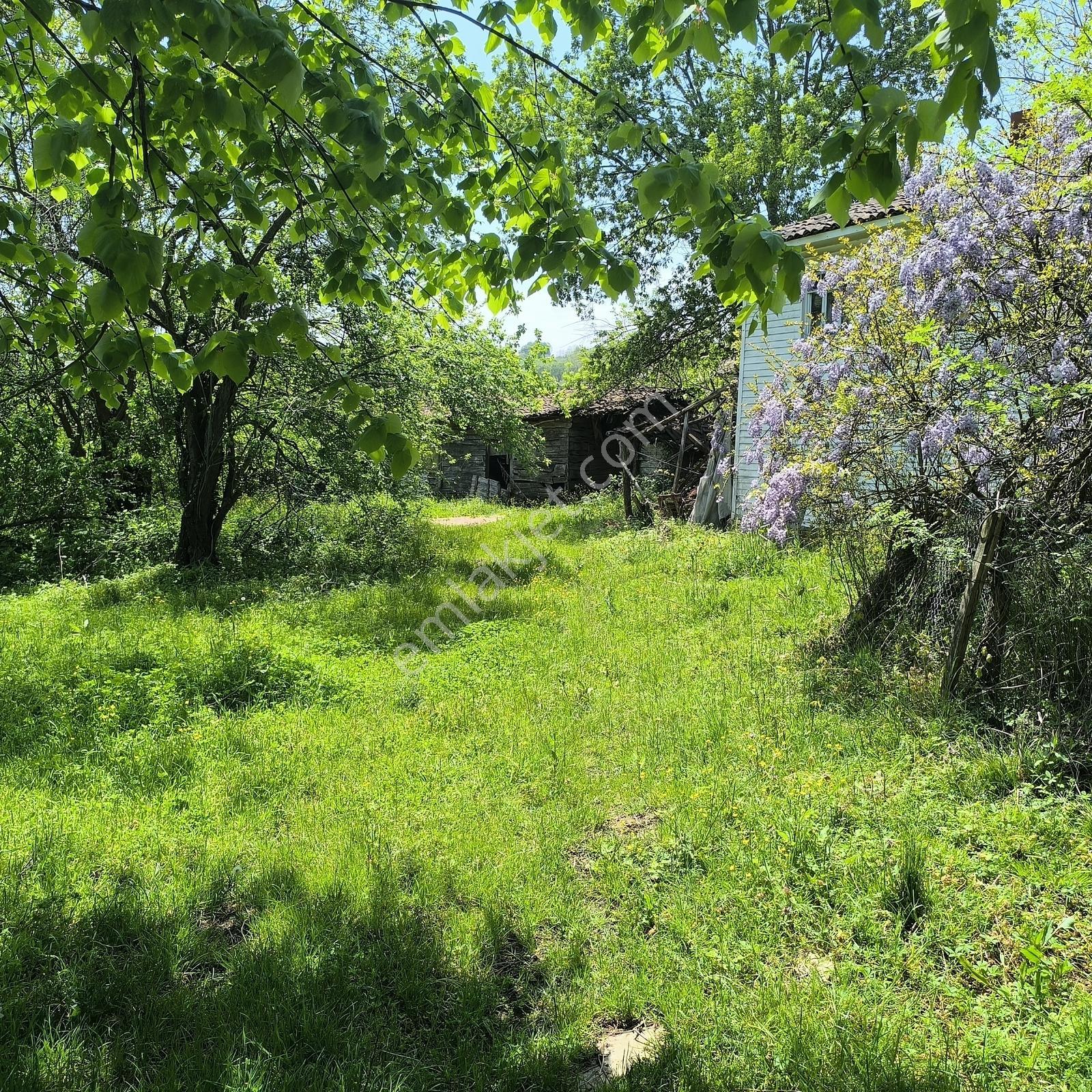 Kandıra Dalca'da %40 İmarlı Köy İçi Arsa-yatırım Yaşam Birarada - Görsel 22